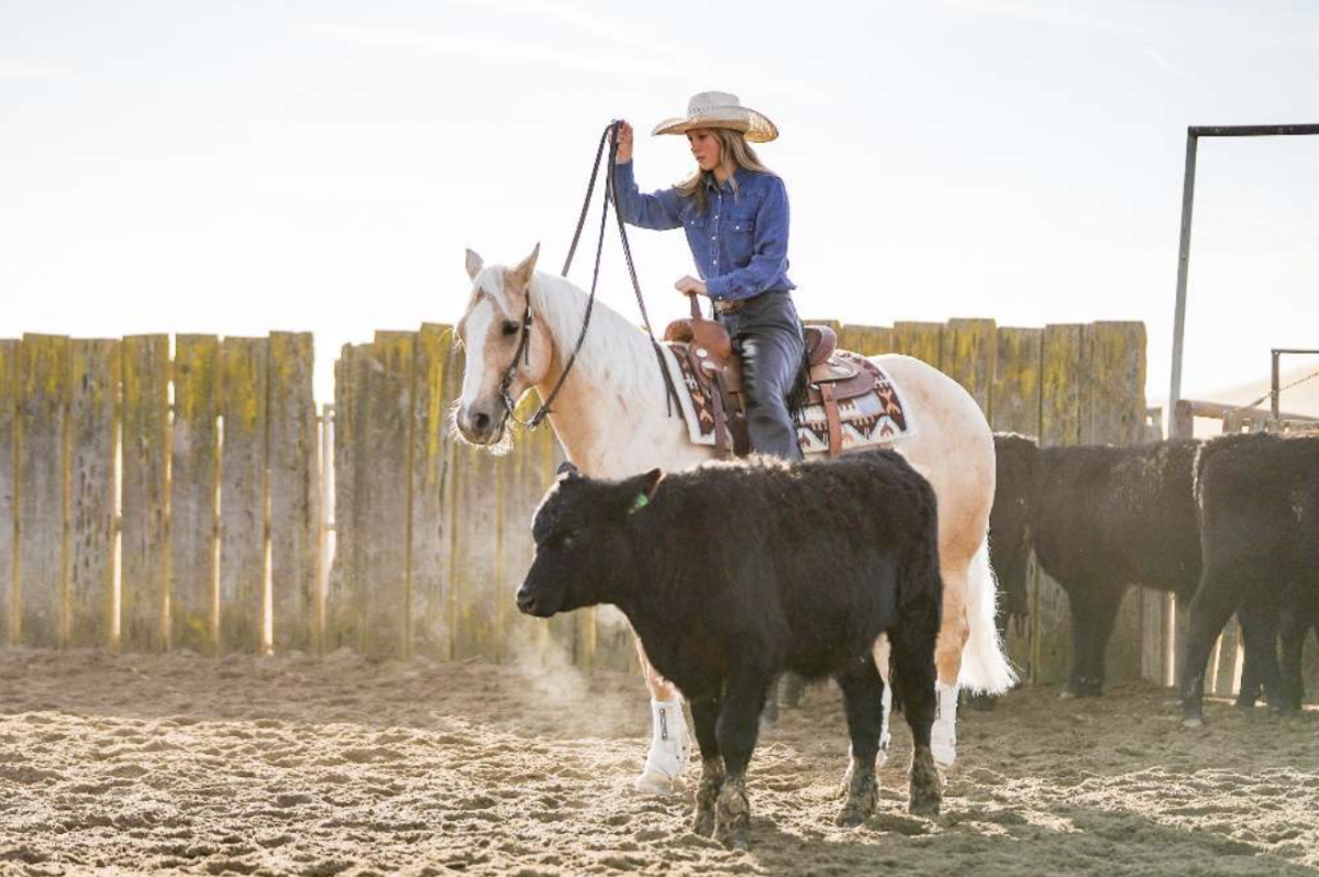 Western equestrian is found to be a lot common in America as it relates to the Western region in the US.